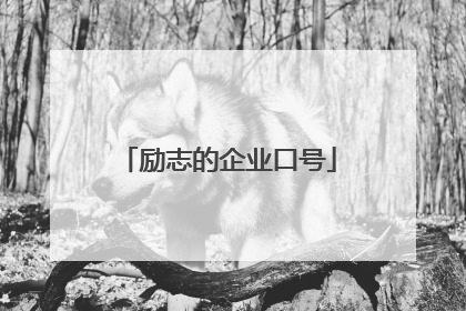 励志的企业口号