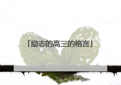 励志的高三的格言