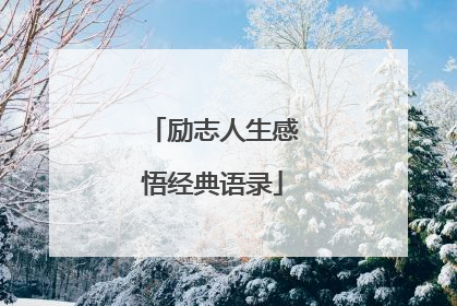 励志人生感悟经典语录