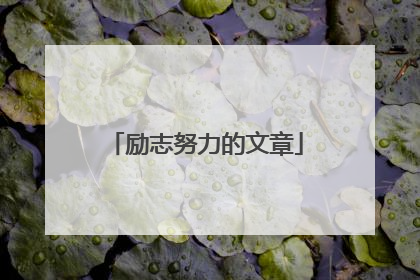 励志努力的文章