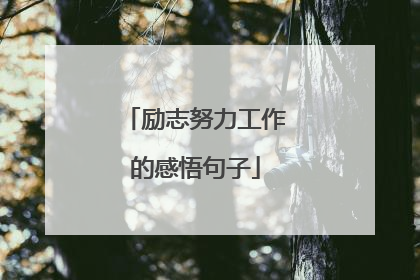 励志努力工作的感悟句子
