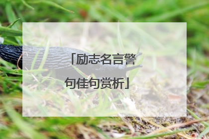 励志名言警句佳句赏析