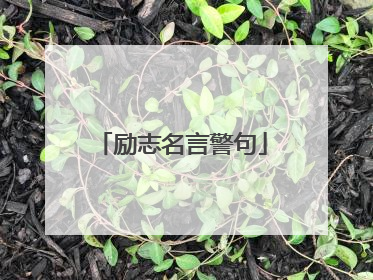 励志名言警句