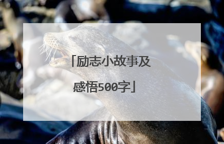 励志小故事及感悟500字