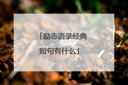 励志语录经典短句有什么