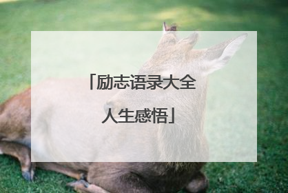 励志语录大全 人生感悟