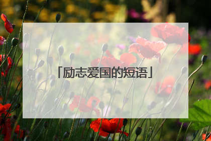 励志爱国的短语