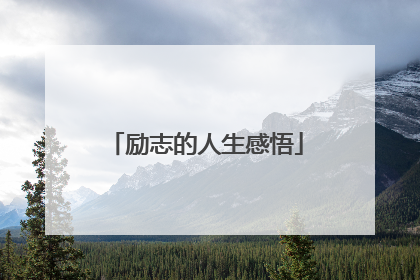 励志的人生感悟