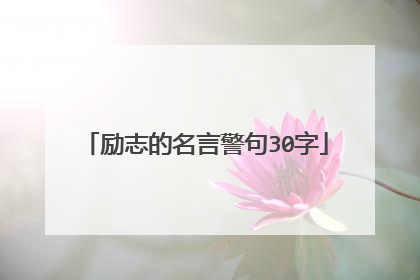 励志的名言警句30字