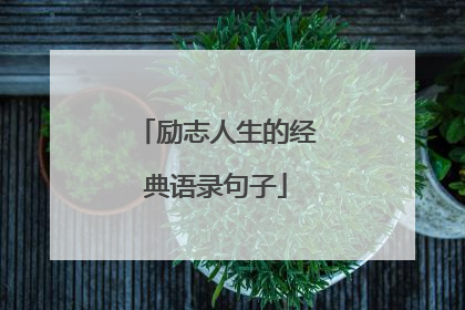 励志人生的经典语录句子