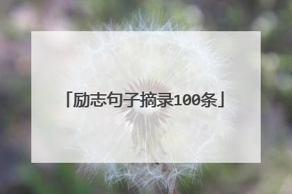 励志句子摘录100条