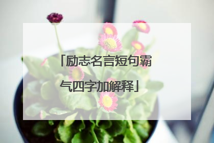 励志名言短句霸气四字加解释