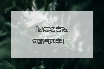 励志名言短句霸气四字