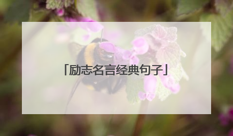 励志名言经典句子