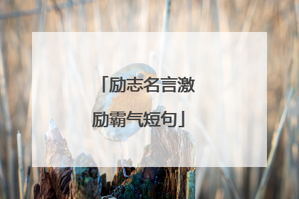 励志名言激励霸气短句