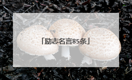 励志名言85条