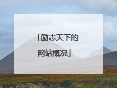 励志天下的网站概况