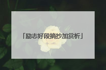 励志好段摘抄加赏析