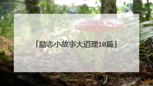 励志小故事大道理10篇