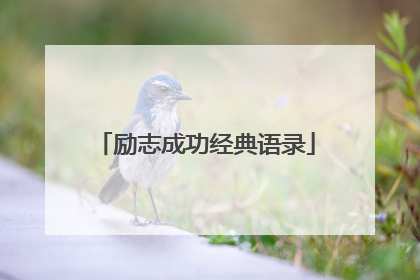 励志成功经典语录