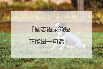 励志语录简短正能量一句话