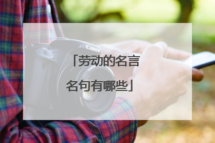 劳动的名言名句有哪些