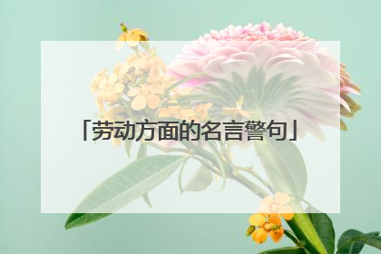 劳动方面的名言警句