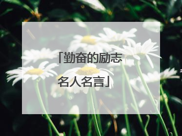 勤奋的励志名人名言
