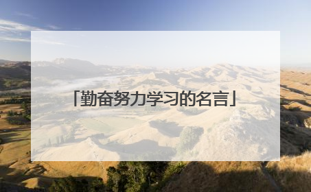 勤奋努力学习的名言