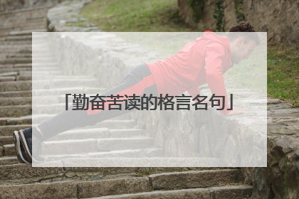勤奋苦读的格言名句