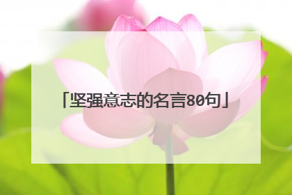 坚强意志的名言80句