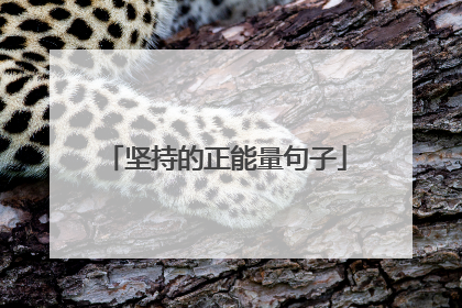坚持的正能量句子