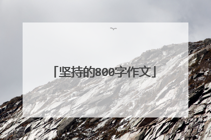 坚持的800字作文
