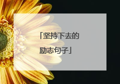 坚持下去的励志句子
