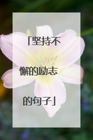 坚持不懈的励志的句子