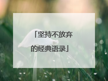 坚持不放弃的经典语录