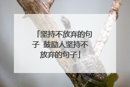 坚持不放弃的句子 鼓励人坚持不放弃的句子