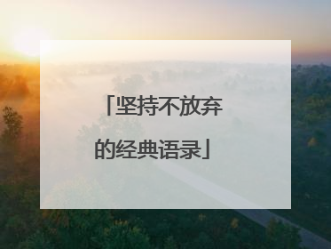 坚持不放弃的经典语录