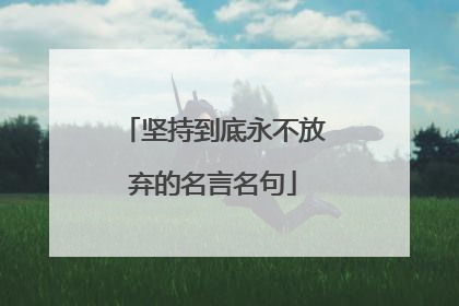 坚持到底永不放弃的名言名句