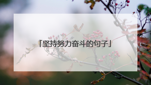 坚持努力奋斗的句子