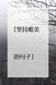 坚持唯美的句子