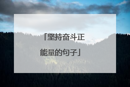 坚持奋斗正能量的句子