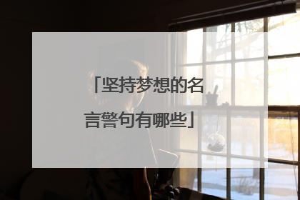 坚持梦想的名言警句有哪些
