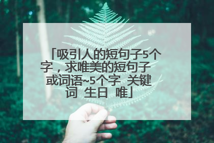 吸引人的短句子5个字,求唯美的短句子 或词语~5个字 关键词 生日 唯
