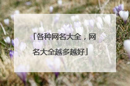 各种网名大全,网名大全越多越好