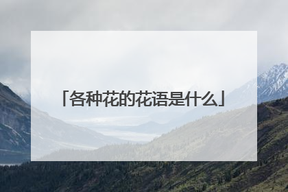 各种花的花语是什么