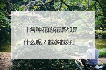 各种花的花语都是什么呢？越多越好
