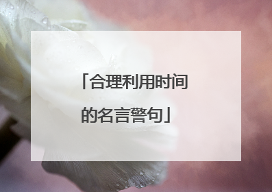 合理利用时间的名言警句