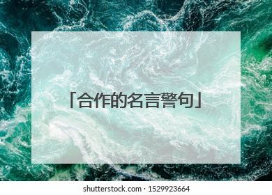 合作的名言警句
