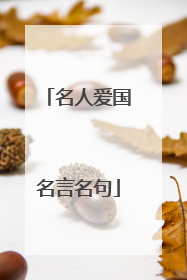 名人爱国名言名句